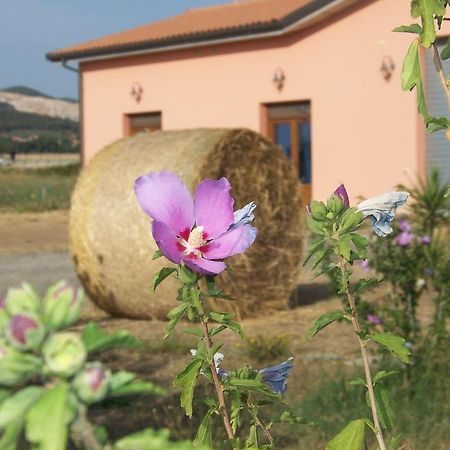 Agriturismo La Nocciolina فينتورينا تيرمي المظهر الخارجي الصورة