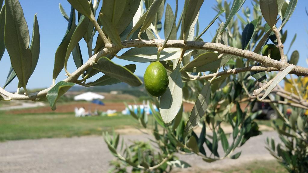 Agriturismo La Nocciolina فينتورينا تيرمي المظهر الخارجي الصورة