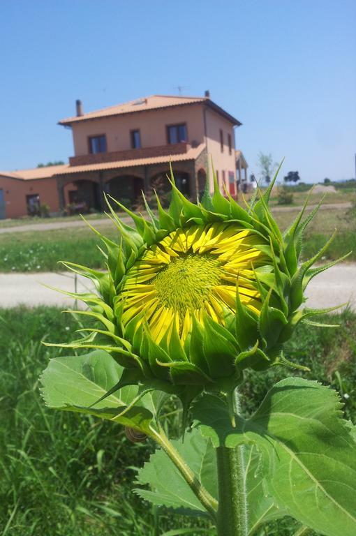 Agriturismo La Nocciolina فينتورينا تيرمي المظهر الخارجي الصورة