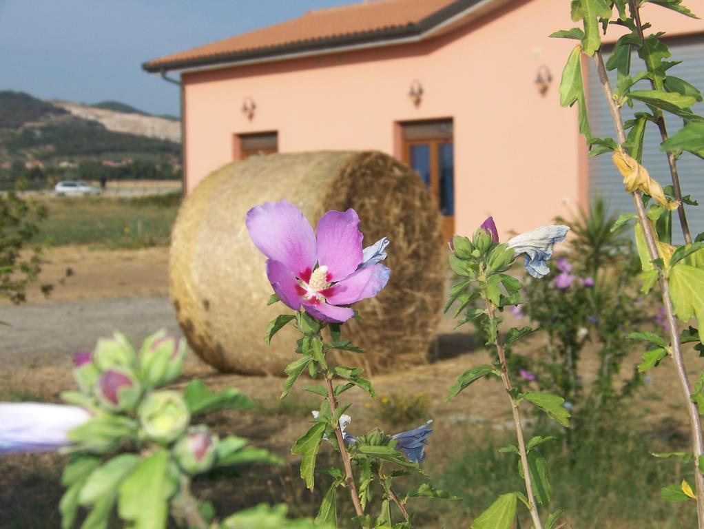 Agriturismo La Nocciolina فينتورينا تيرمي المظهر الخارجي الصورة