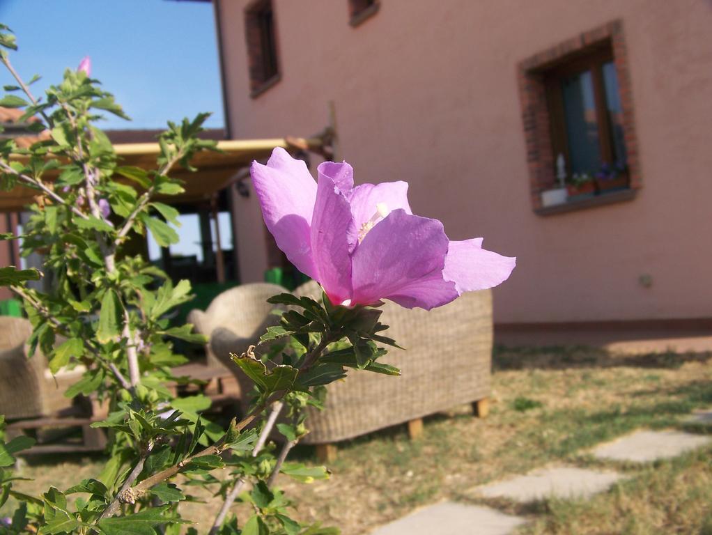 Agriturismo La Nocciolina فينتورينا تيرمي المظهر الخارجي الصورة