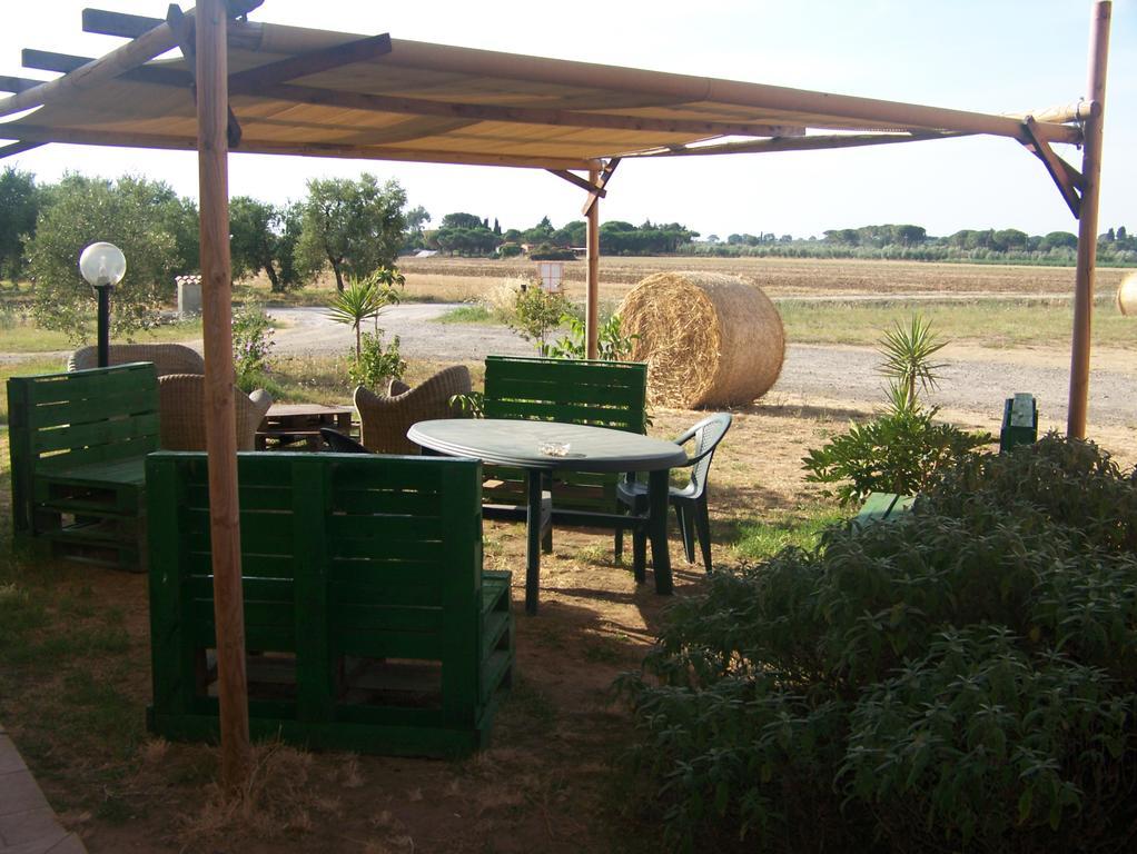 Agriturismo La Nocciolina فينتورينا تيرمي المظهر الخارجي الصورة